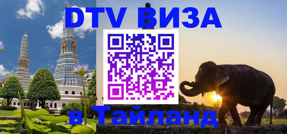 Оформление DTV визы под ключ: стоимость и тарифы, только загранпаспорт - 